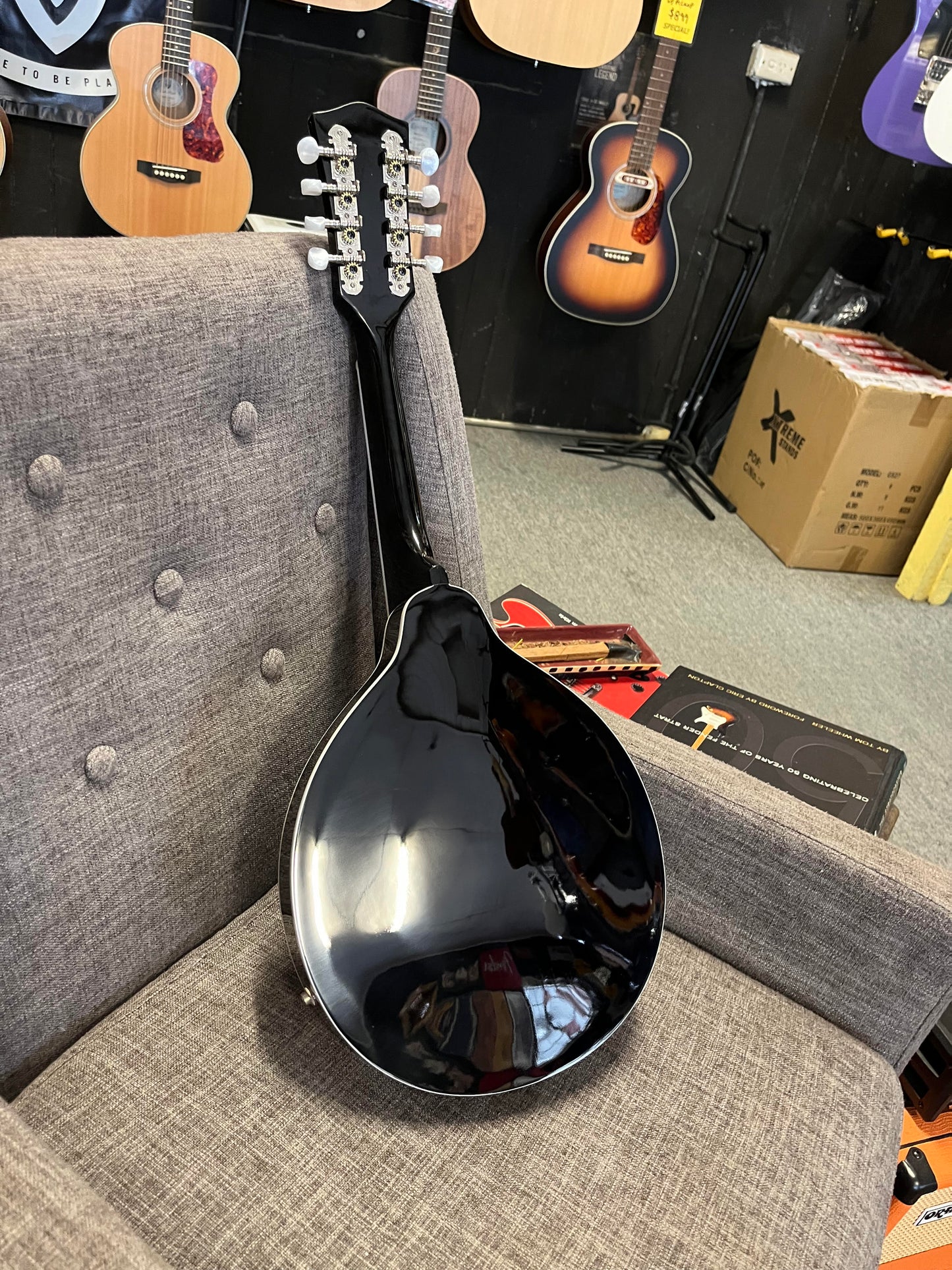 Rover RM-50E Acoustic/Electric Mandolin All Solid Wood