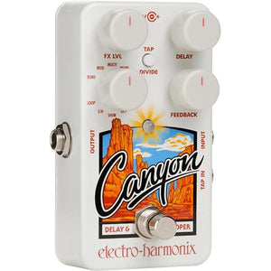 EHX Canyon Delay and Looper Pedal