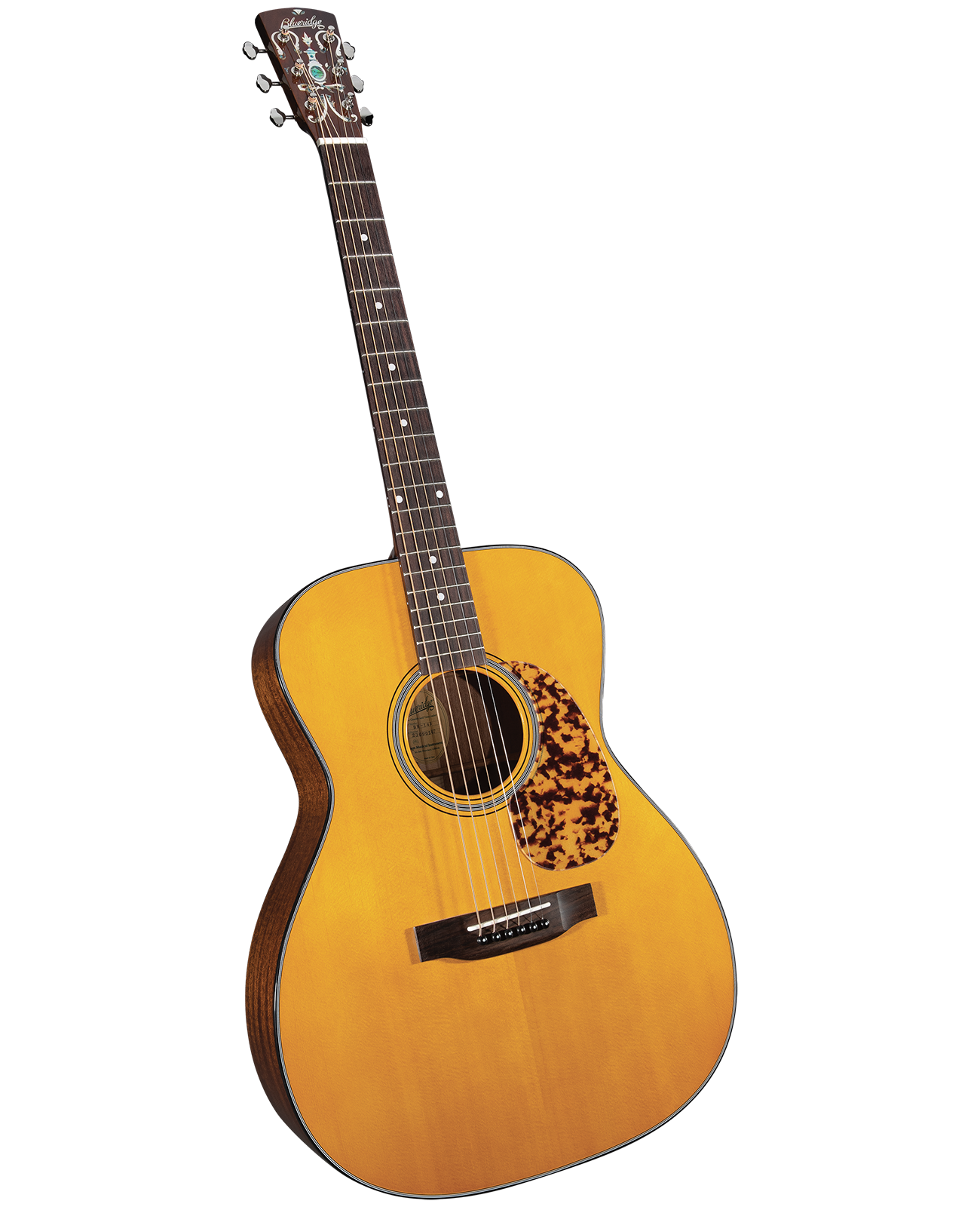 Blueridge BR-143 Historic Series OOO in Soft Case