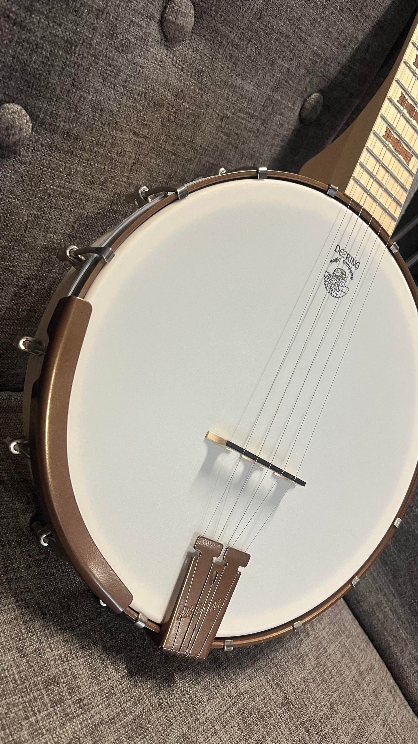 Deering Goodtime 5 String Openback Banjo GOODTIME-GD Deco