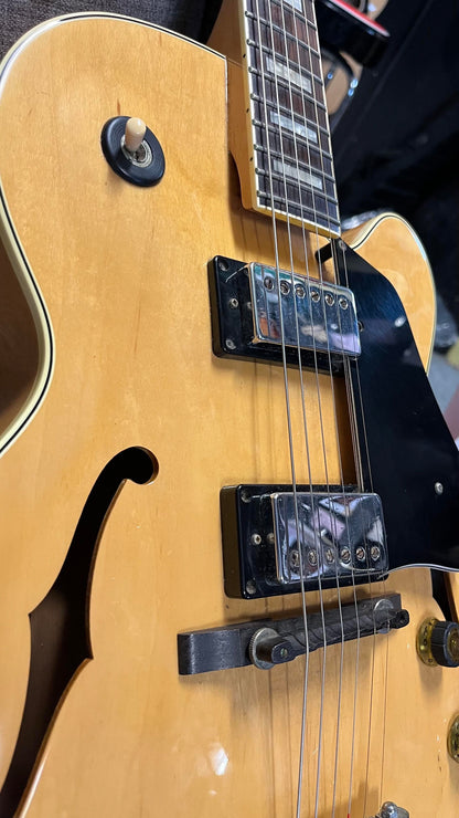 Second Hand Ibanez FG-100 Jazz Box in Hard Case 1985