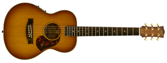 Maton EMD-6 "Diesel Special" Model