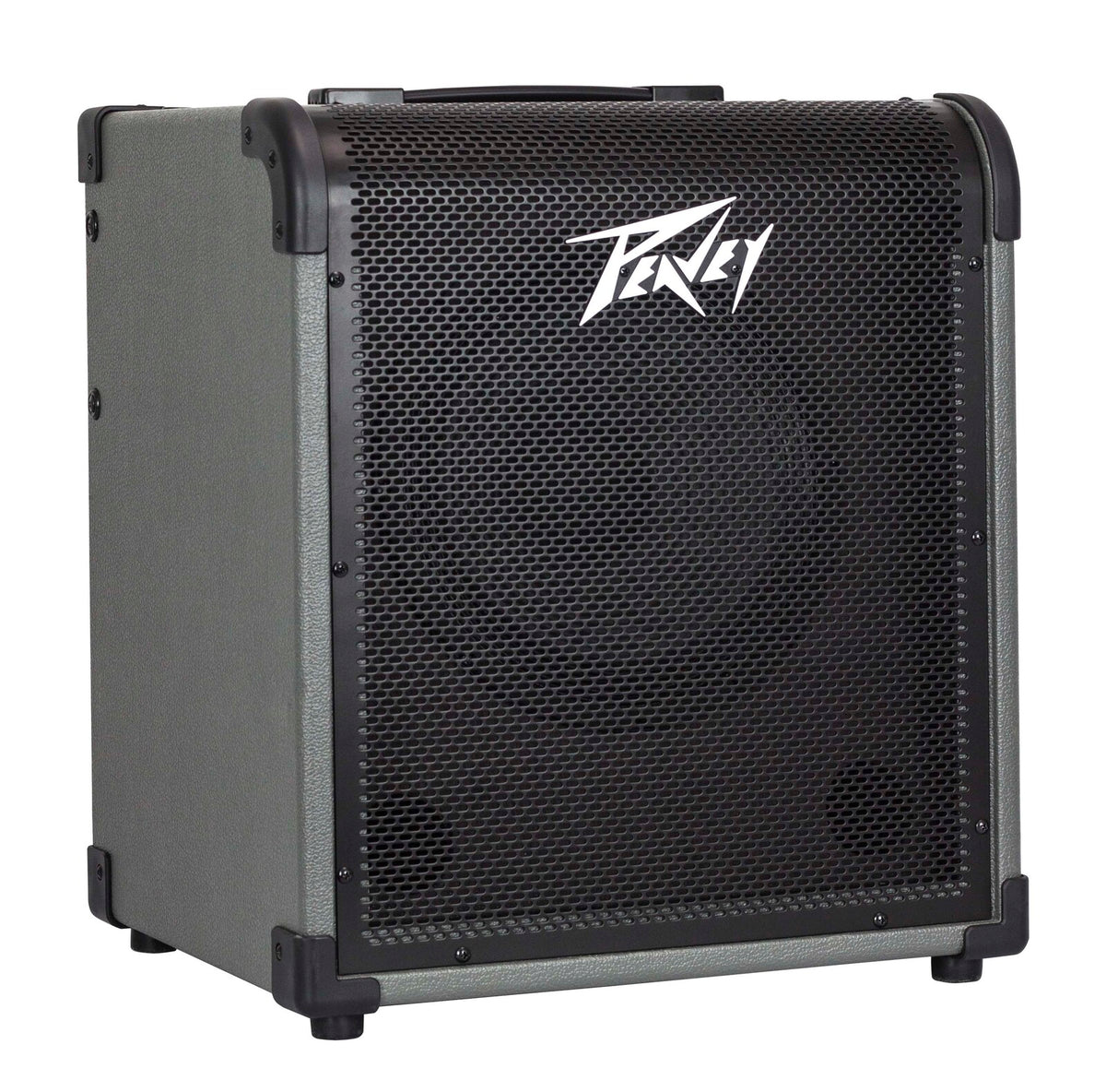 Peavey MAX Series "MAX100" Bass Amp Combo 100-Watt 1x10" MAX Portability. MAX Flexibility. MAX Sound.