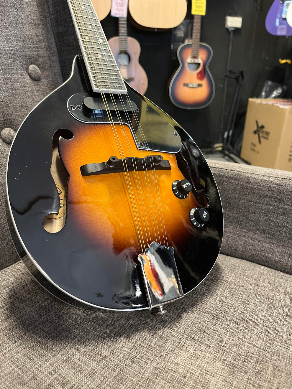 Rover RM-50E Acoustic/Electric Mandolin All Solid Wood – The Guitar Shop