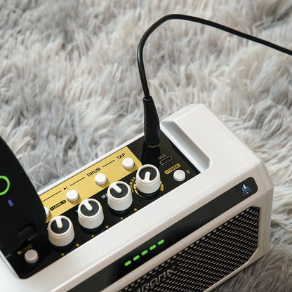 Aroma 10W Acoustic Guitar Amplifier with Drum Machine [TG-08A]