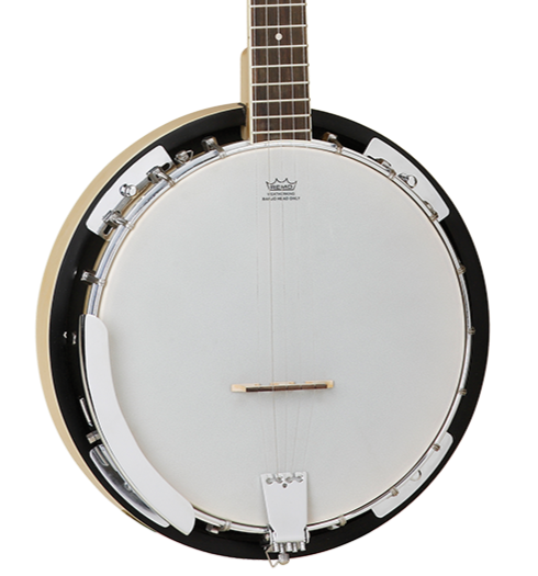 Tanglewood TWB18-M5 Union Banjo 5 String