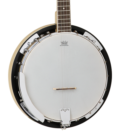 Tanglewood TWB18-M5 Union Banjo 5 String