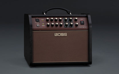 Boss Acoustic Singer Live LT Acoustic Amplifier